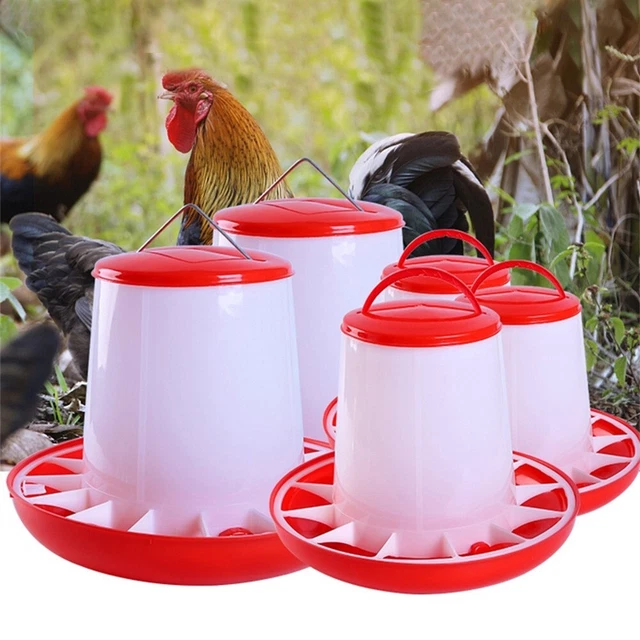 Alimentation des animaux de ferme sans tracas avec seau à poulet automatique fi