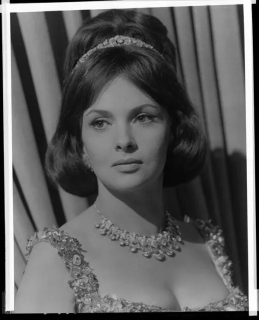 Gina Lollobrigida Beautiful Busty Glamour Portrait Vintage Studio 8x10 Negative