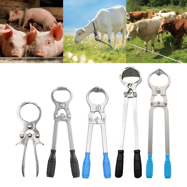 Kit De Castration Pour Bétail – 4 Tailles D'anneaux + Pince à Expansion Pour Chèvres, Agneaux, Moutons