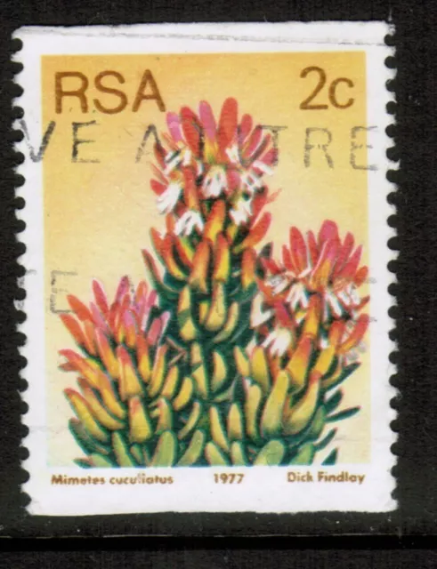 South Africa 1977-82 SG432 2c Flowers definitives Proteas Imperf x P14 Used