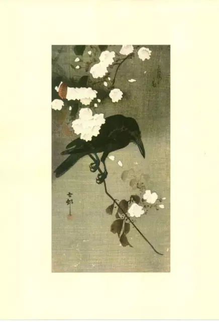 Japanese Reproduction Woodblock Print 342 by Ohara Koson on A3 Parchment Paper.