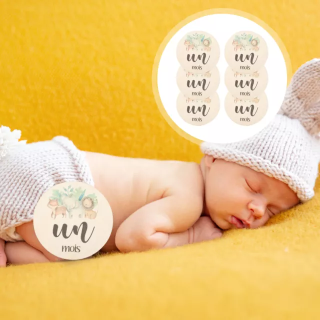 6 Pcs Annonce De Naissance Cartes D'étape Mensuelles Bois Disque CD Emblèmes