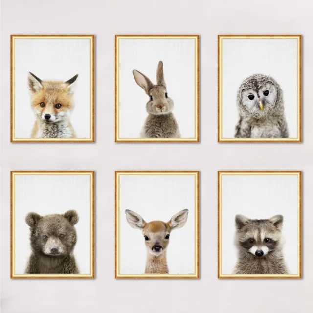 Fox Rabbit Animals Pictures Print Art Poster Kids Room Wall Decor