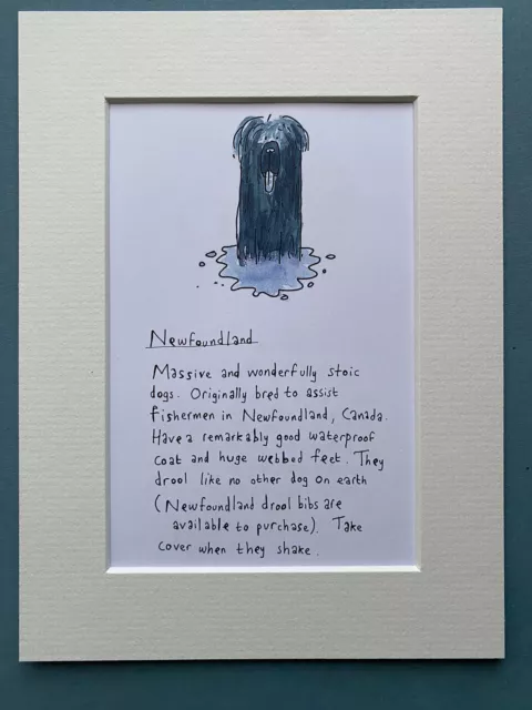 Newfoundland Dog Picture Mounted Pet Art Funny