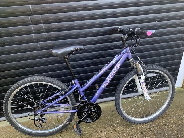 24 inch bike halfords cheap