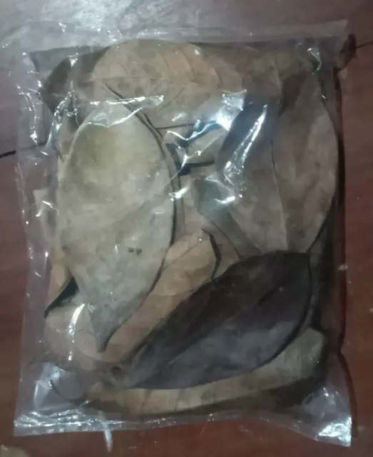 Jack Fruit Leaves 100 Pcs Dried Organic Bio Film Shrimp Aquarium Natural Ceylon