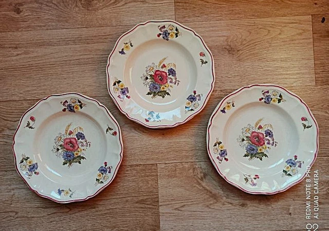 5 assiettes creuses en faïence de Digoin Sarreguemines modèle Yann