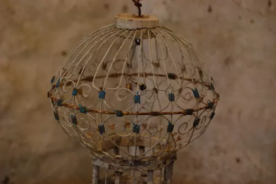 Decorative Victorian Bird Cage 3