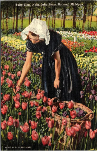 Tulip Time Nelis Tulip Farm Holland Michigan MI c1941 Unposted Postcard