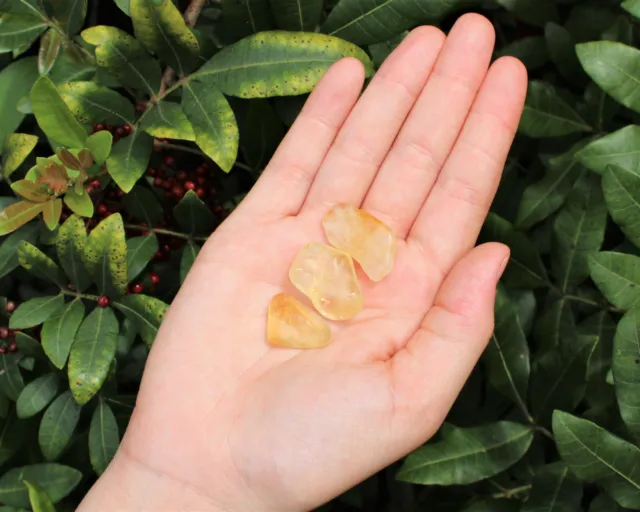 3 Medium Citrine Tumbled Stone (Crystal Healing Gemstone Chakra)