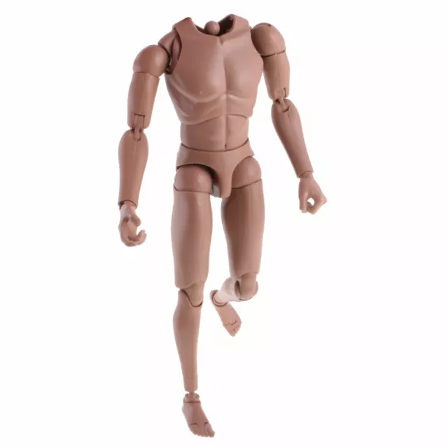 1/6 Scale Male Nude Body Muscular Mans Action Figure for TC Dragon Soldier 3