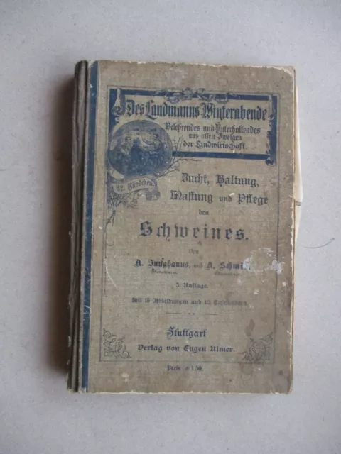 " Zucht, Haltung, Wartung und Pflege des Schweines " von Junghanns/Schmid,1907