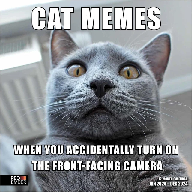 RED EMBER CAT Memes 2024 Hangable Monthly Wall Calendar 12" x 24