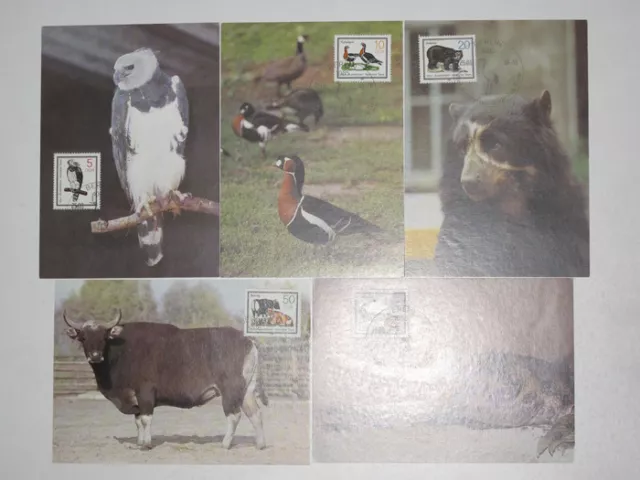 (g556) GDR maximum card MK Mi.N. 2952-2956 Endangered Animals 1985