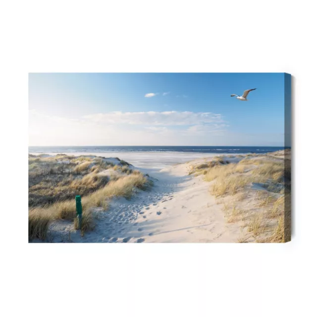 CANVAS Leinwand Dünen Meer Strand Ostsee Wasser Sand Natur Bilder XXL Wandbild