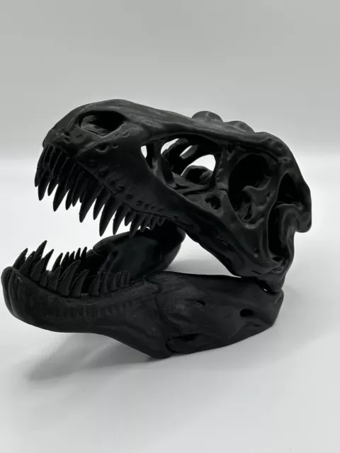 T-Rex Skull Dinosaurier Totenkopf | Jurassic Park | Dinosaurier Totenkopf |