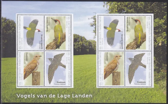 Caribbean Netherlands Issue 2018 (MS 8) Birds