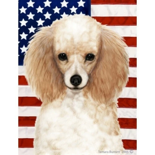 Patriotic (D2) Garden Flag - Apricot Poodle 320161