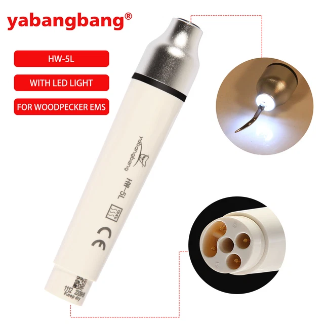 US Dental LED Ultrasonic Piezo Scaler Handpiece Fit Woodpecker EMS HW-5L Nz