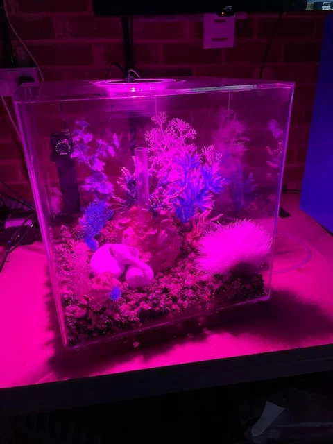 BiOrb CUBE 60L Complete Aquarium Fish Tank MCR LED - Clear 11