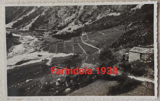 Vivaio di Farindola ~ rimboschimento (1938)