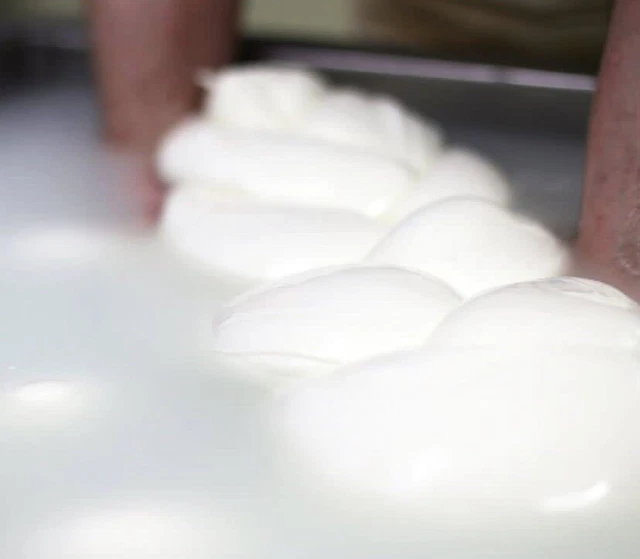 mozzarella di bufala campana (Caserta)