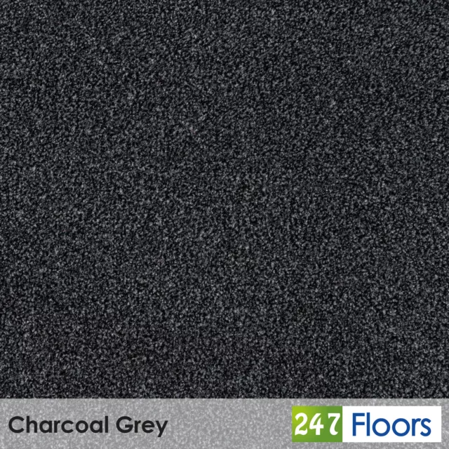 Charcoal Grey Liberty Twist Carpet Feltback Cheap Clearance Bedroom ONLY £6.49m²