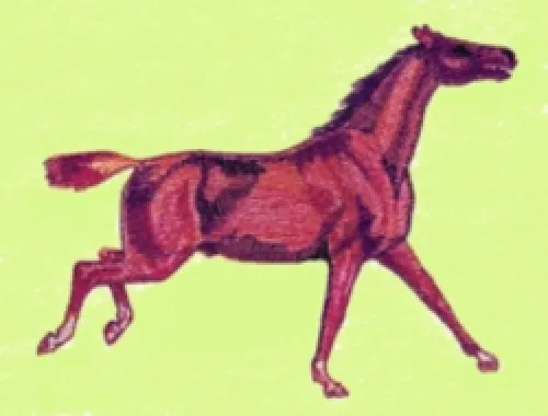 Embroidered Sweatshirt - Quarter Horse BT1546 Sizes S - XXL