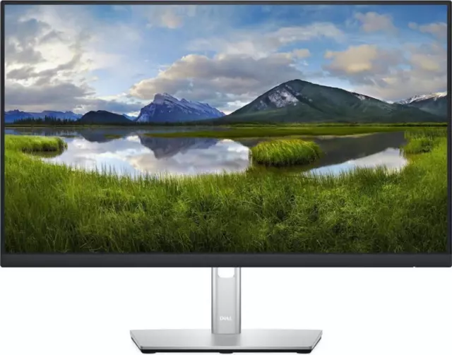 Dell (Gebraucht) Monitor 24 Zoll (60,96cm) P2422H Professional FHD IPS "2205973"