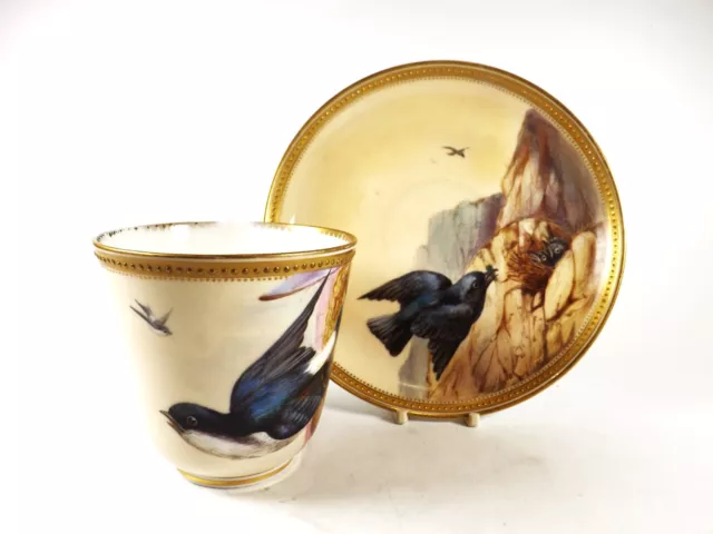 Antique Royal Worcester Cup & Saucer / Hand Painted Birds / Dated 1876 R 2079/4