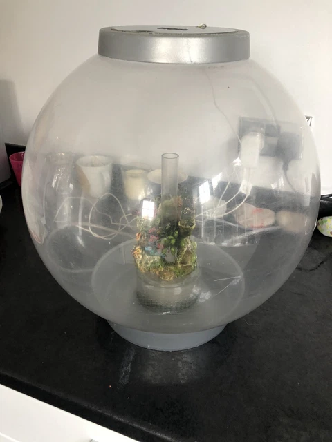 biorb fish tank 30l - Full Set Up