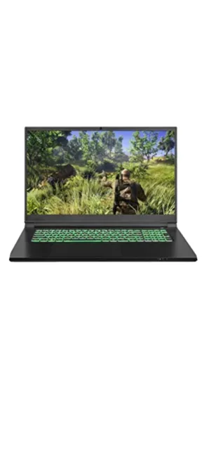 New Sager Gaming Laptop NP7880K 17.3 in. GeForce RTX 3050Ti