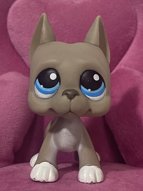 Lps grey dog shop