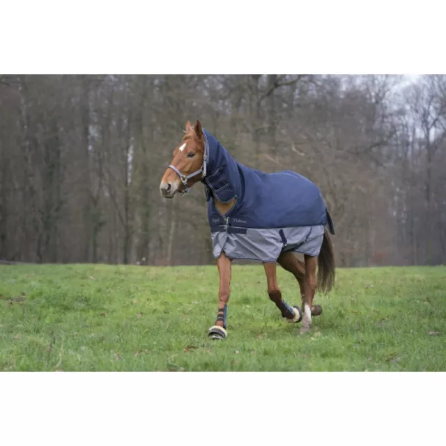 Ekkia Equi-Theme 350g, Horse Turnout Rug, Combo Fixed Neck, Tyrex 600 Denier