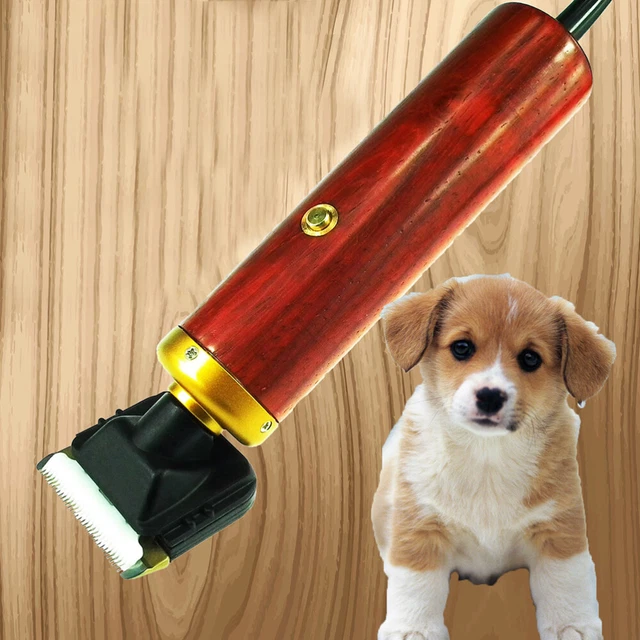 trousse de toilettage professionnelle pour tondeuse à poils de chien, puissance 3
