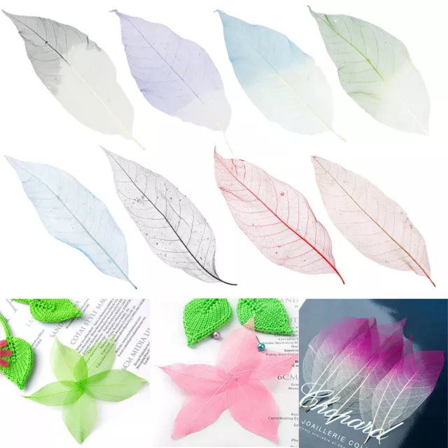 50 Natural Skeleton Leaves Rubber Tree Scrapbooking Craft DIY Card Wedding Decor