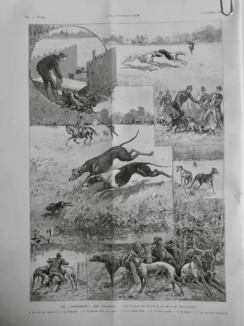 1888 Chien Coursing Levrier Chien Chasse Field Trial 3 Journaux Anciens
