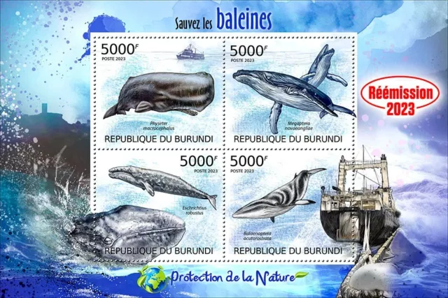 Burundi 2023 Save the whales. (211)