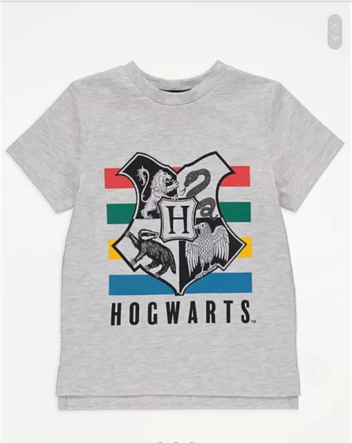 💥Bnwt Boys Harry Potter Hogwarts Graphic Print T Shirt Grey Marl Age 3-4 Years