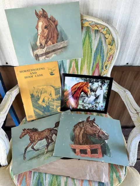 Vintage Horse Prints, Photo, Horse And Hoof Care Book