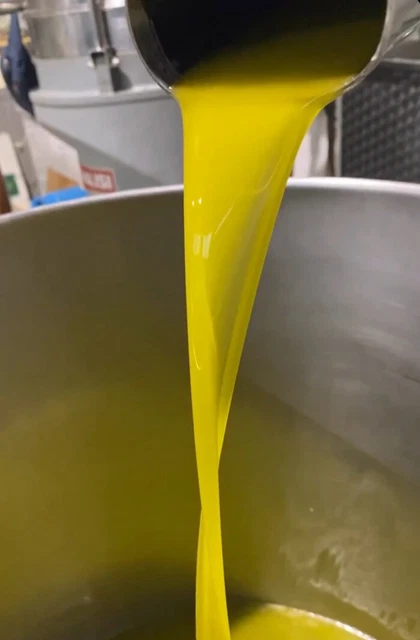 olio extra vergine di oliva Annata 2023