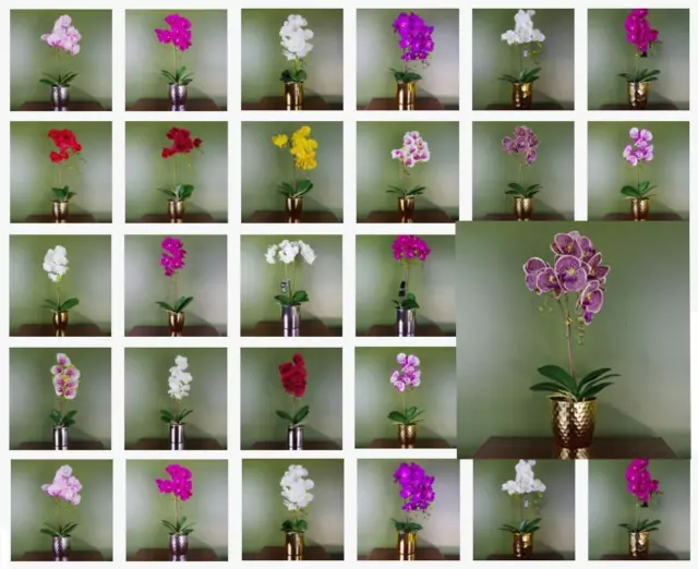 Artificial Orchids Flower Plant Displays - with Planters by Leaf Design 2