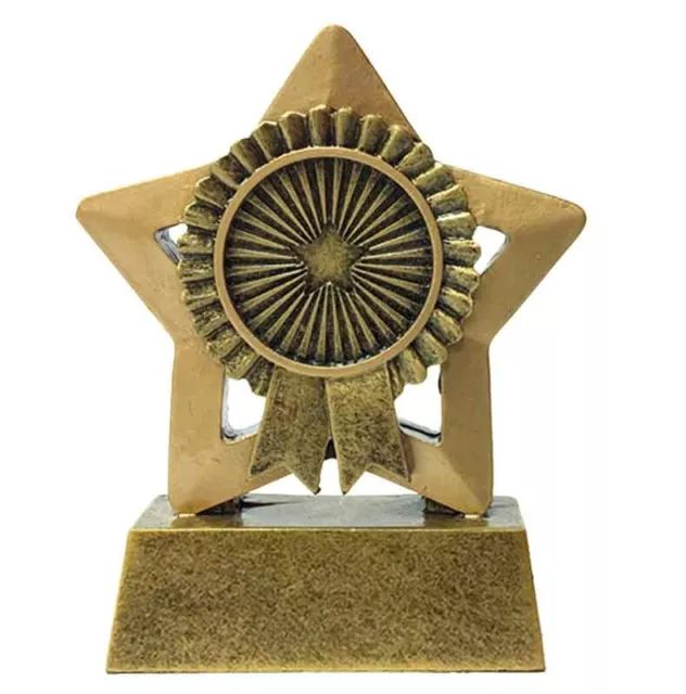 Personalised Engraved Mini Star Rosette Great Player Team Award