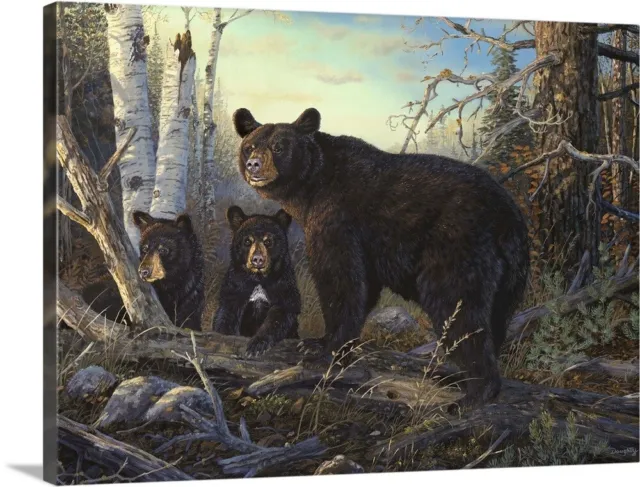 Absolutely Wild Black Bear Canvas Wall Art Print, Bear Home Decor