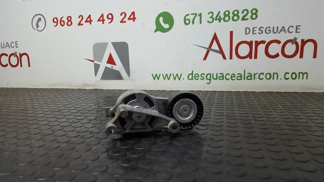 318613 Tendeur De Courroie Auxiliaire Pour Volkswagen Golf V Berlina (1K1) | 03G