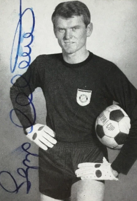 TORWARTHANDSCHUHE WIE SEPP MAIER 1969 , Goalkeeper Gloves, Portiere, Vintage 85.08 - PicClick UK
