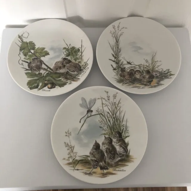 Kaiser West Germany Set Of 3 Decorative Wall Hanging Bird Plates Baby Birds Vtg