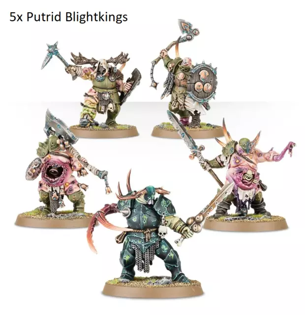 Putrid Blightkings x5 Warhammer Age of Sigmar Maggotkin of Nurgle Tracked Ship