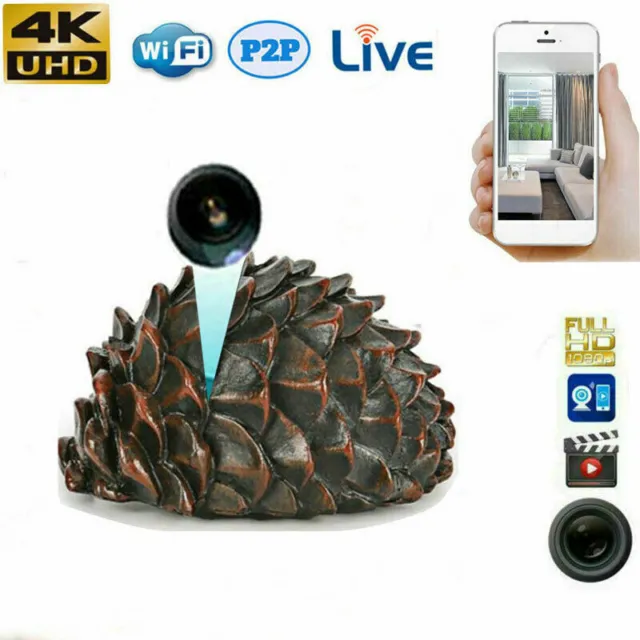 Pine Nut Design Camera HD 1080p WiFi IP Security Portable Video Recorder