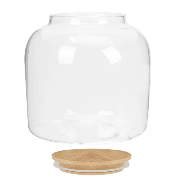 Large Glass Containers Lids Jar Lid Glass Tea Caddy Glass Terrarium Lid Storage